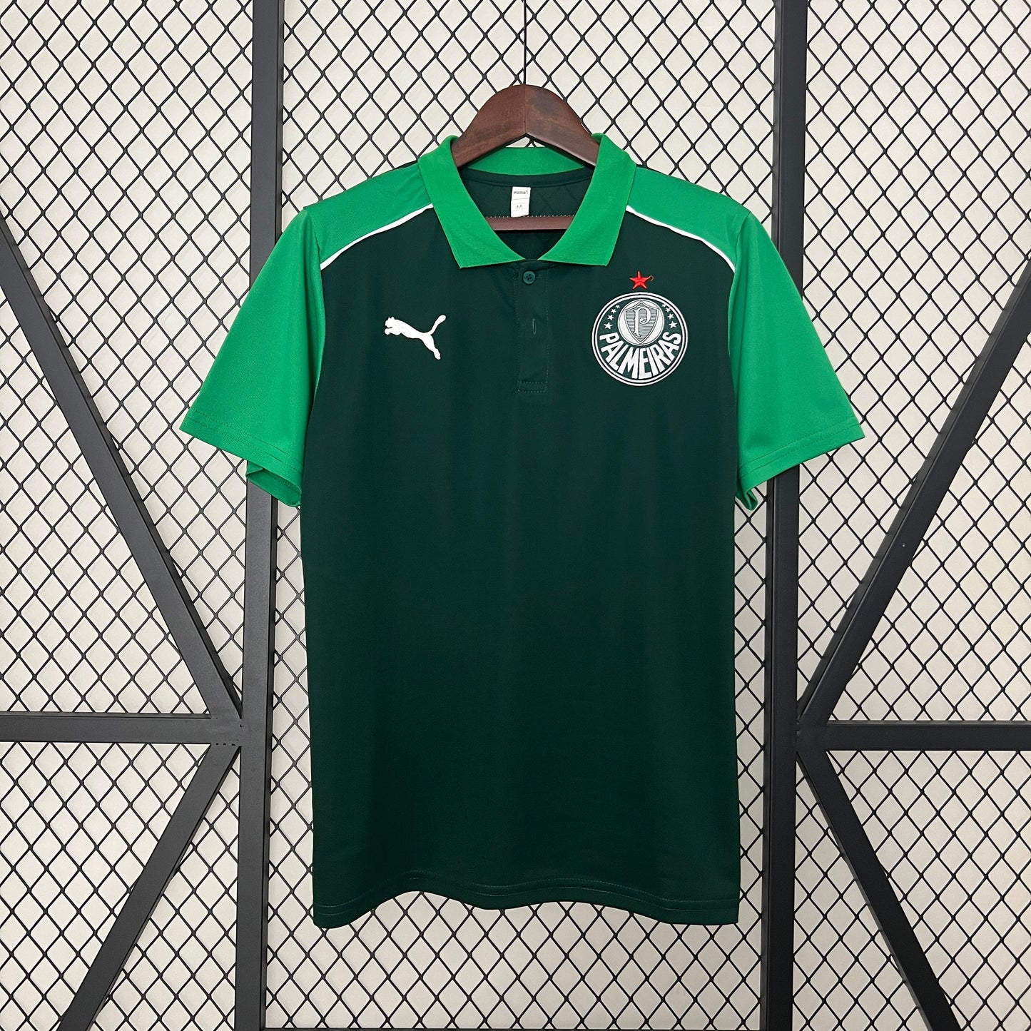 Camiseta Palmeiras green 2024/25  | Versión fan