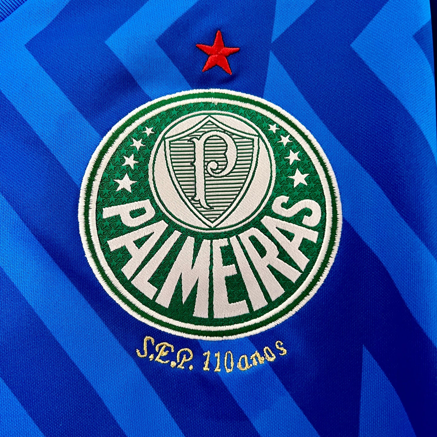 Camiseta Palmeiras 2024/25  | Versión fan Portero